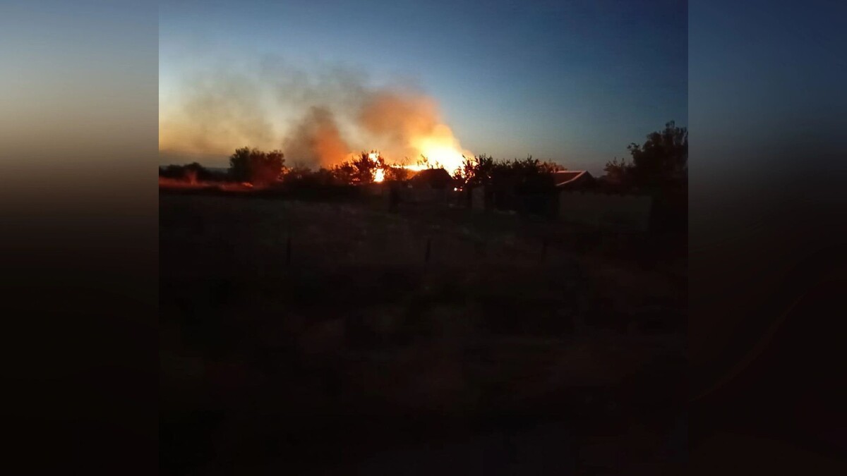    Фото: Владимир Сальдо/t.me