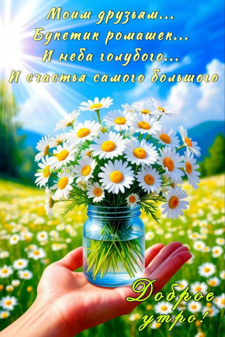 Фото из открытого источника в интернете.