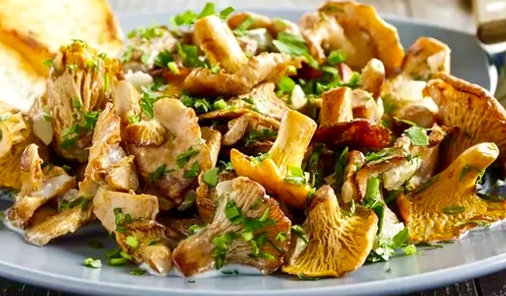 Жаркое из лисичек.