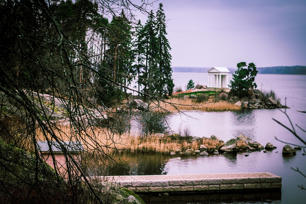 Изображение ozaytseva с сайта Pixabay
