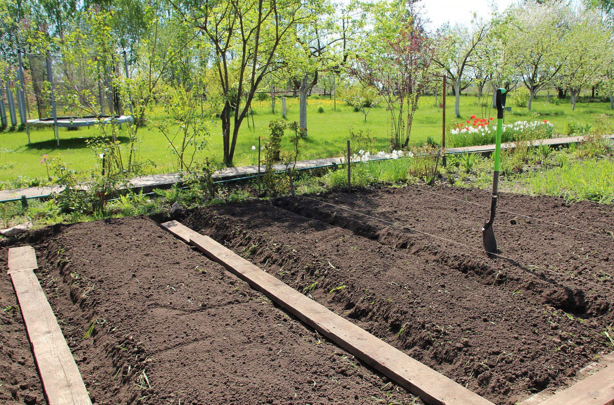 От пустых грядок к круглогодичным урожаям!