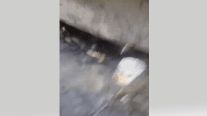    СОСТОЯНИЕ ТАНКОВ В БАТАЛЬОНЕ, ЧТО НАЗЫВАЕТСЯ, ПЛАЧЕВНОЕ. ИСТОЧНИК: ВИДЕООБРАЩЕНИЕ ЛЕЙТЕНАНТА ТАБАЧНИКОВА