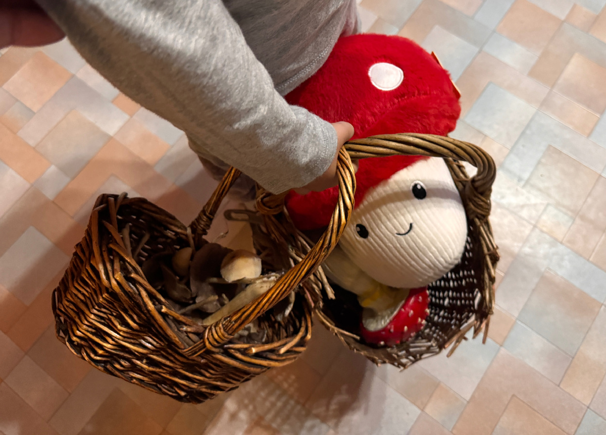 Грибник в 5 поколении 😅