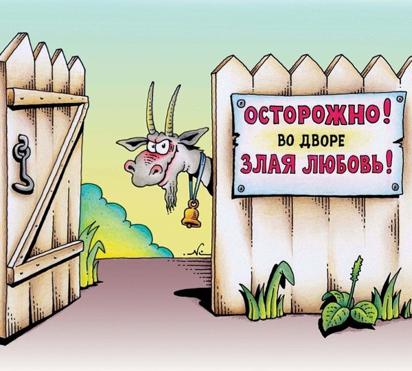 Просто анекдоты