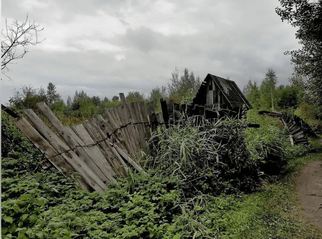 Ну примерно так, если не хуже выглядела дача изначально. Фото из интернета