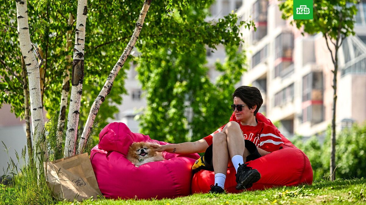    Фото: РИА Новости © 2025, Пелагия Тихонова