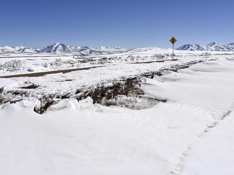     Harald von Radebrecht/imageBROKER.com/Global Look Press