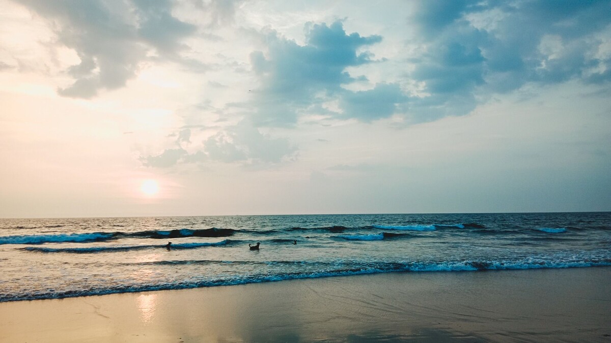     Источник: 1MI