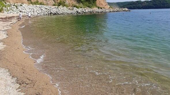     Источник: Погода 25 регион