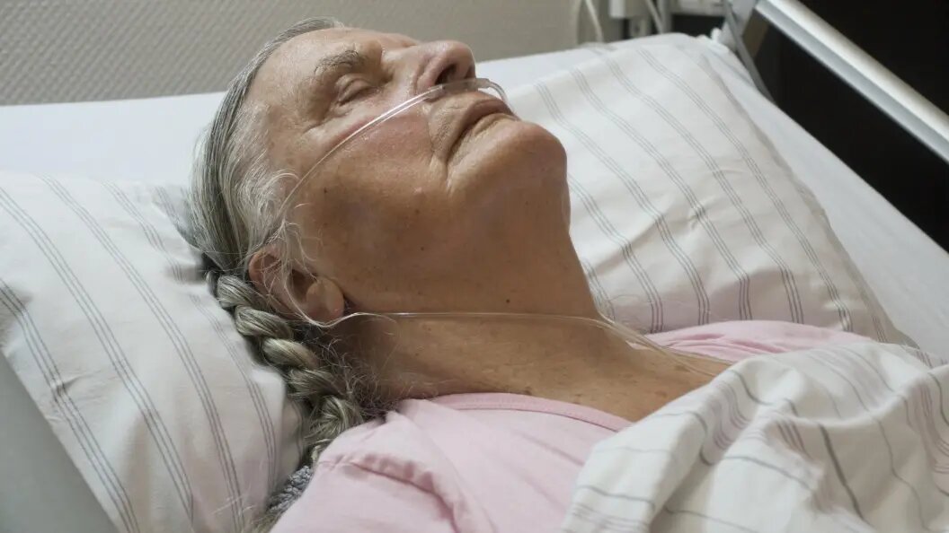    Фото: Jan Tepass/Globallookpress