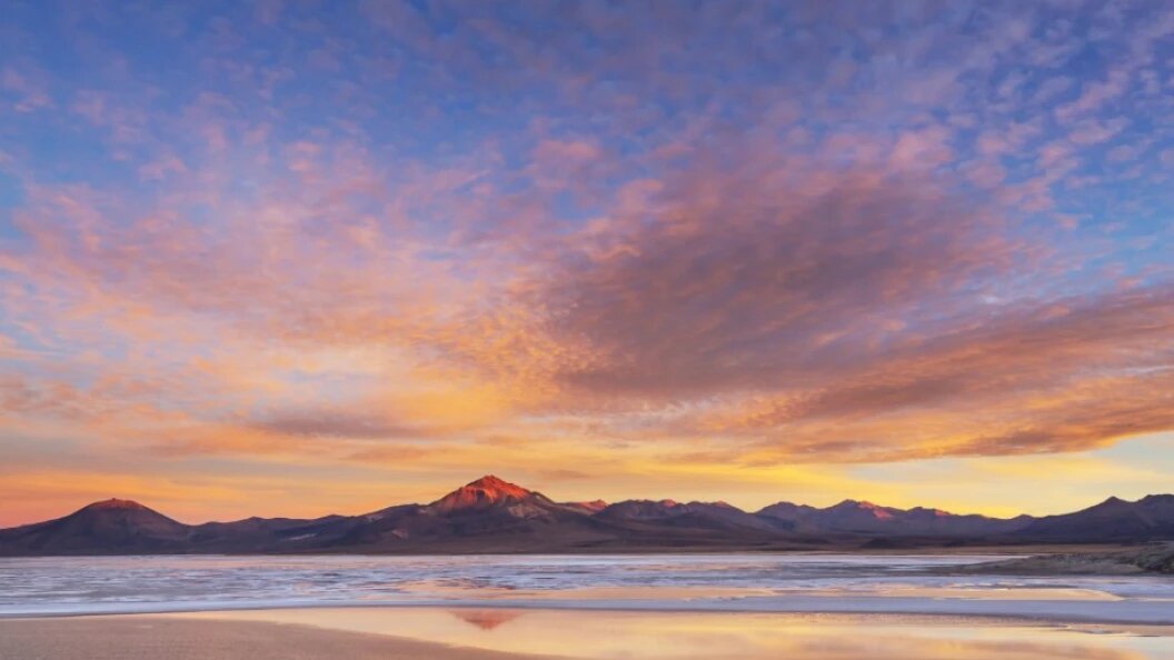    IMAGO/Zoonar.com/Galyna Andrushk/Globallookpress