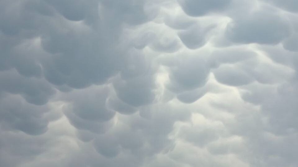     Источник: pogoda_25_region