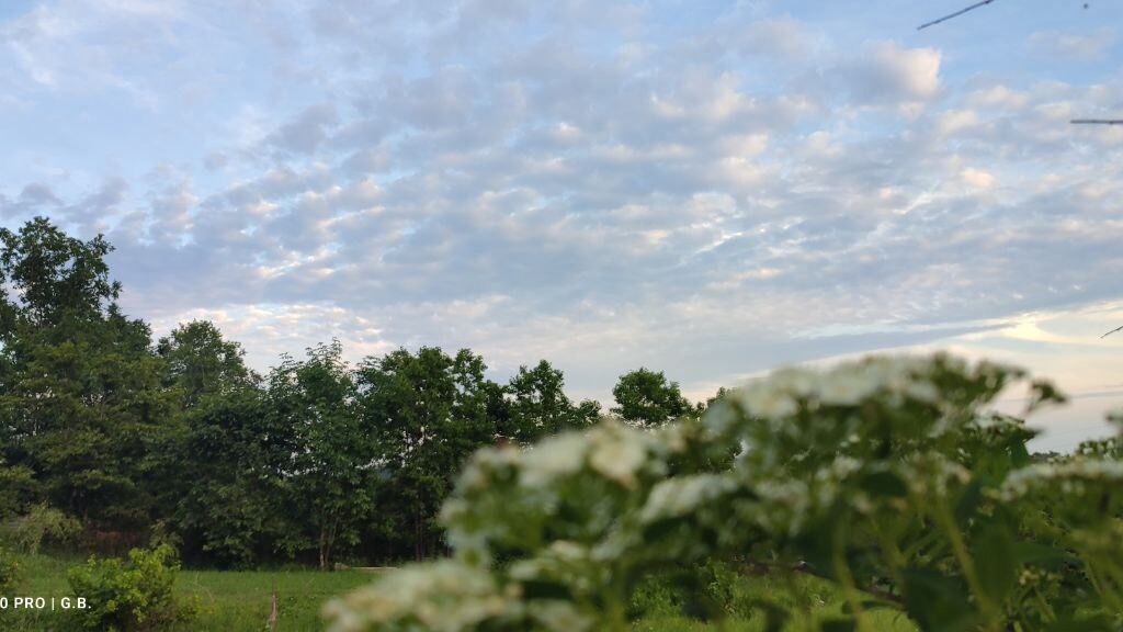     Источник: pogoda_25_region