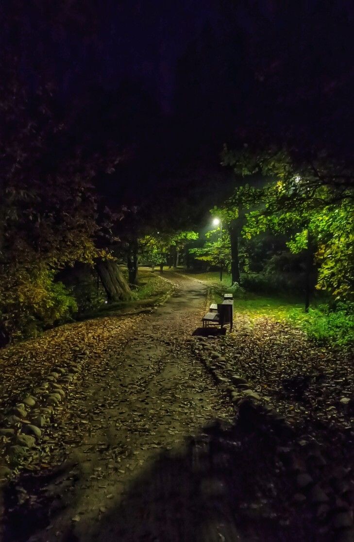 Картинка из общего доступа. 