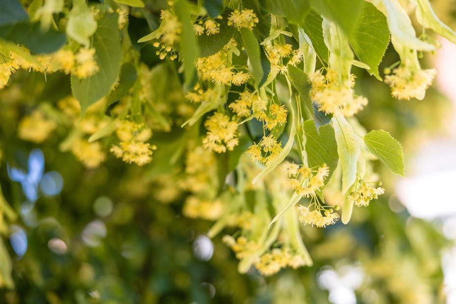    Frank Hammerschmidt/dpa/Global Look Press