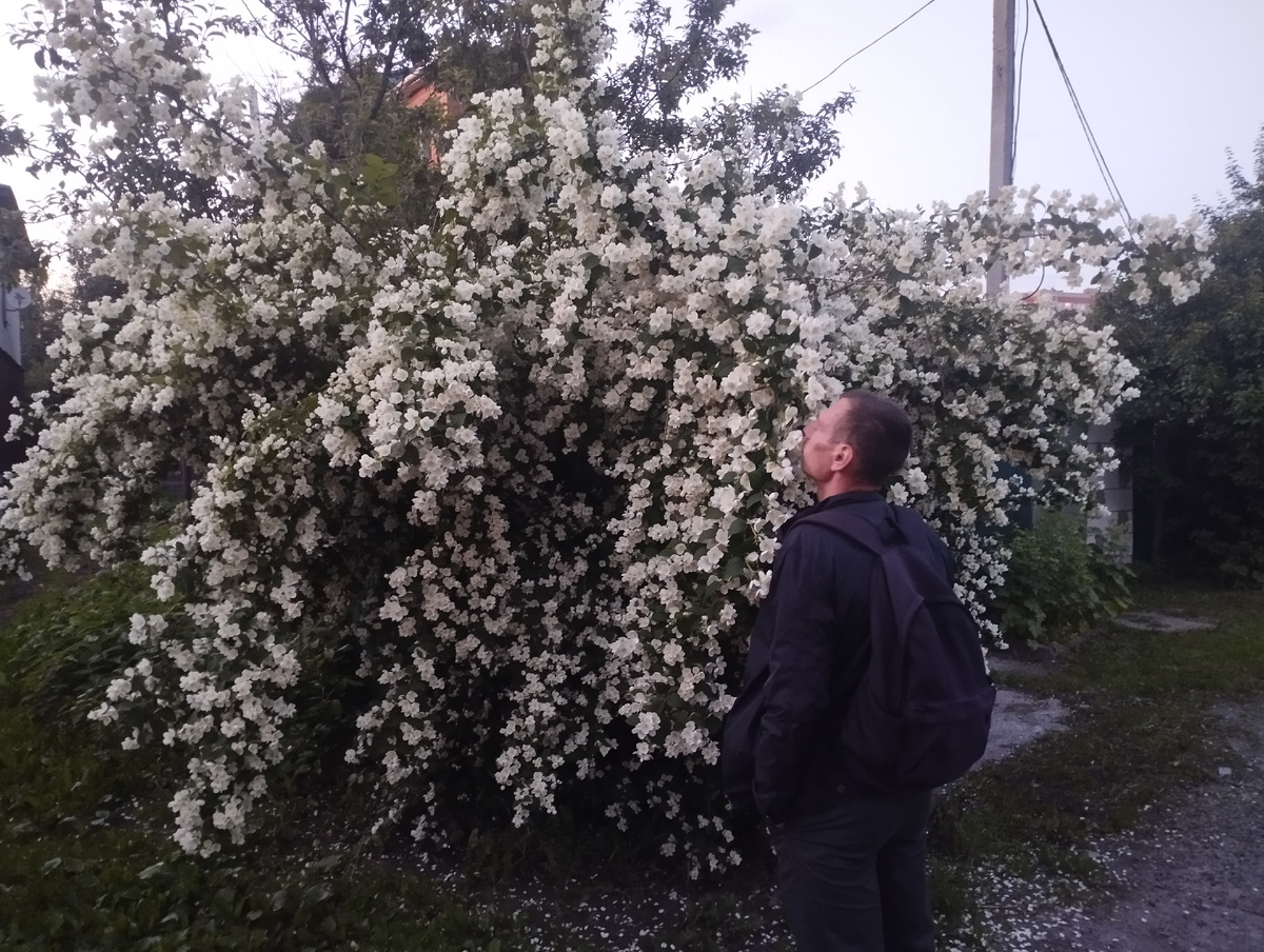 Как же тяжело воспитывать ребёнка которого подарила тебе свекровь.