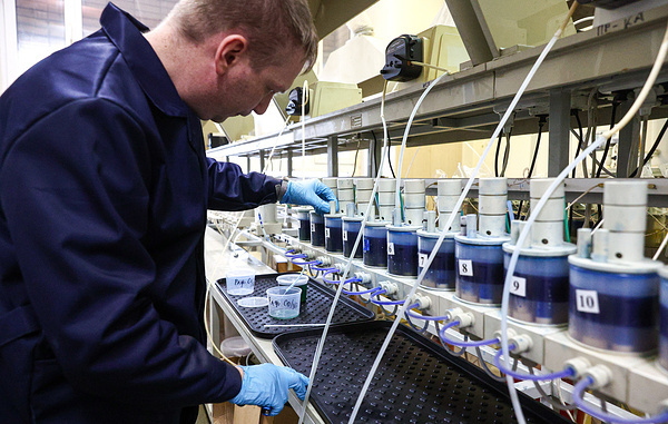 Сергей Булкин/ТАСС