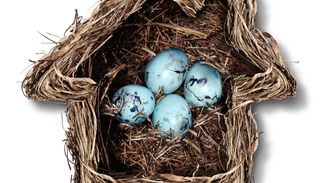    Фото: Lightspring/shutterstock