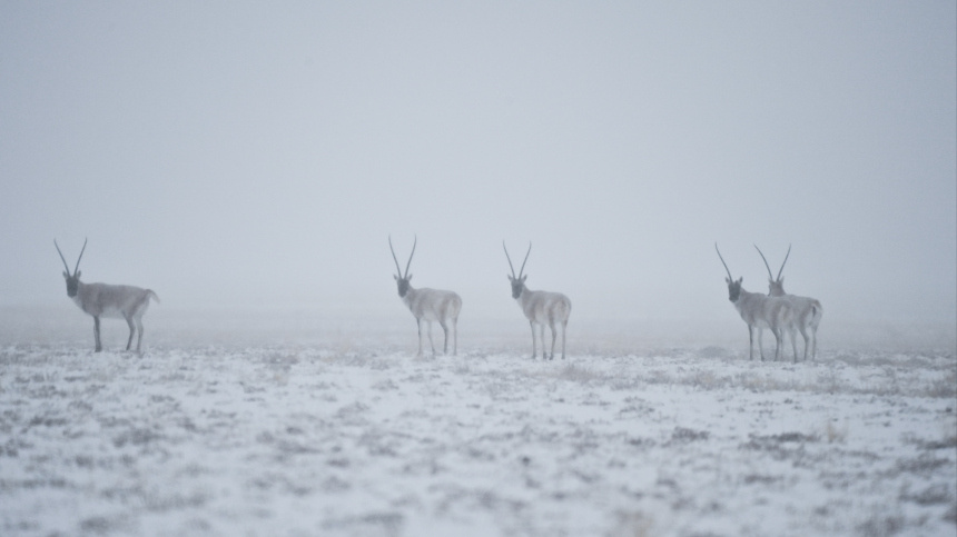    Фото: www.globallookpress.com/ Li Xiang