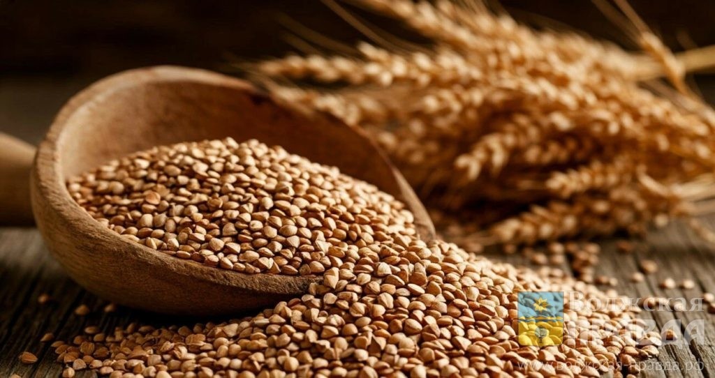 Изображение сгенерировано нейросетью Шедеврум и носит иллюстративный характер📷    Свадьба, стирка или сенокос: как лучше повести день 27 июня
