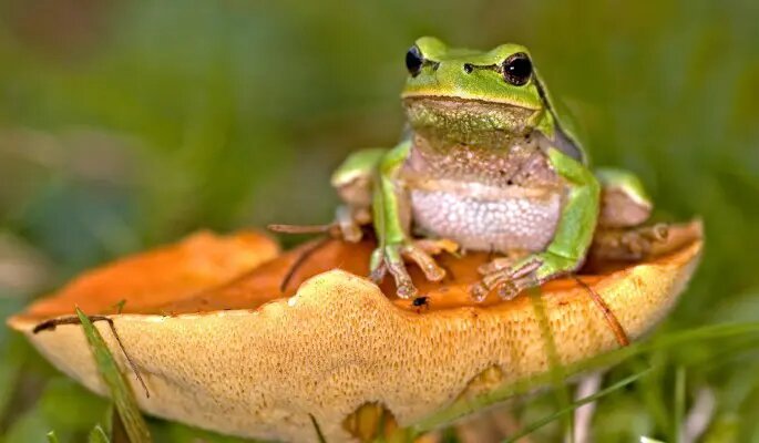    Фото: dni.ru Мария Михайлова