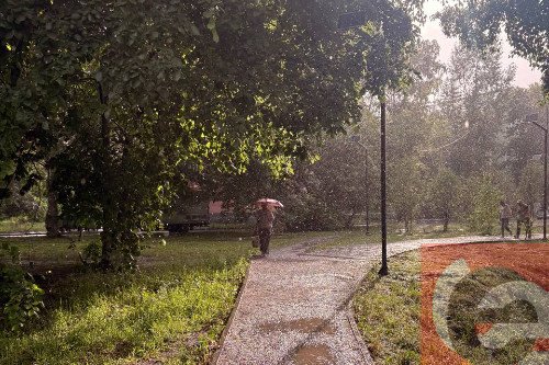    Фото: Прецедент