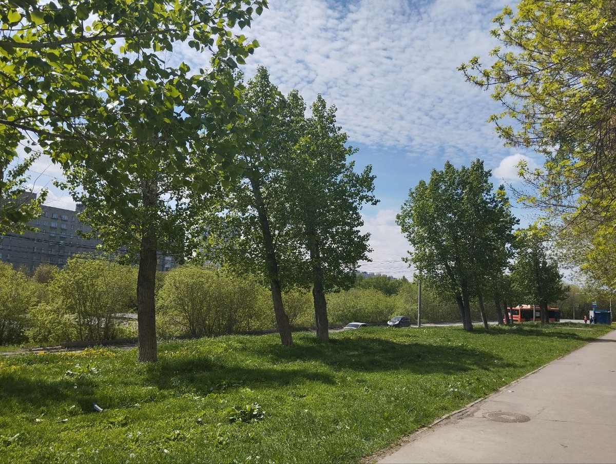 Ожидается теплая погода.  Фото: Фото: ФедералПресс / Екатерина Ломакина