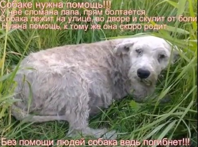 Фотография из поста в ОК, на которой я впервые увидела Вику.