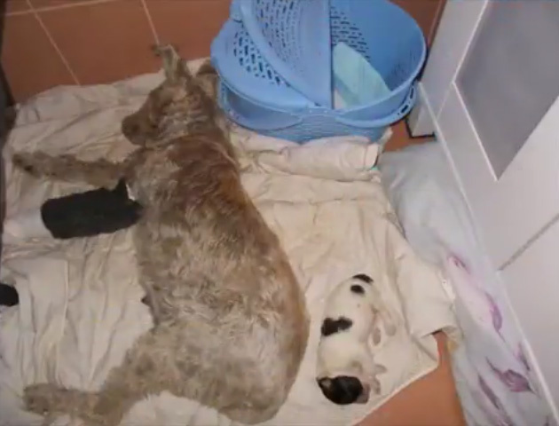 Вика на новом месте