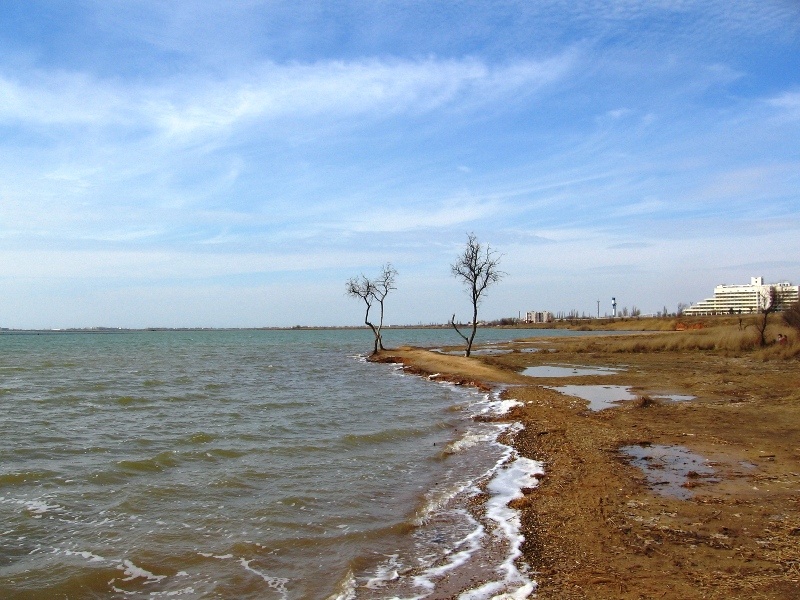 Фото из интернета 