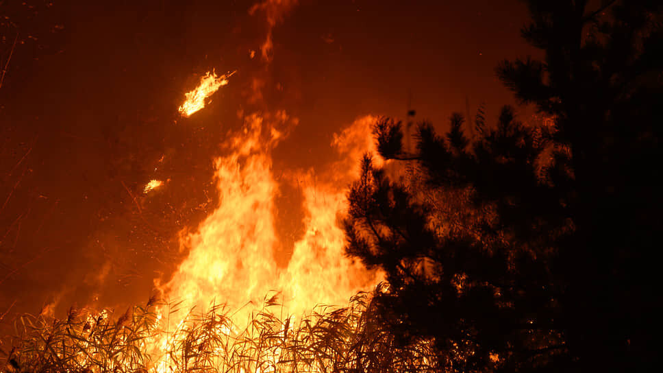 Фото: Олег Харсеев / Коммерсантъ
