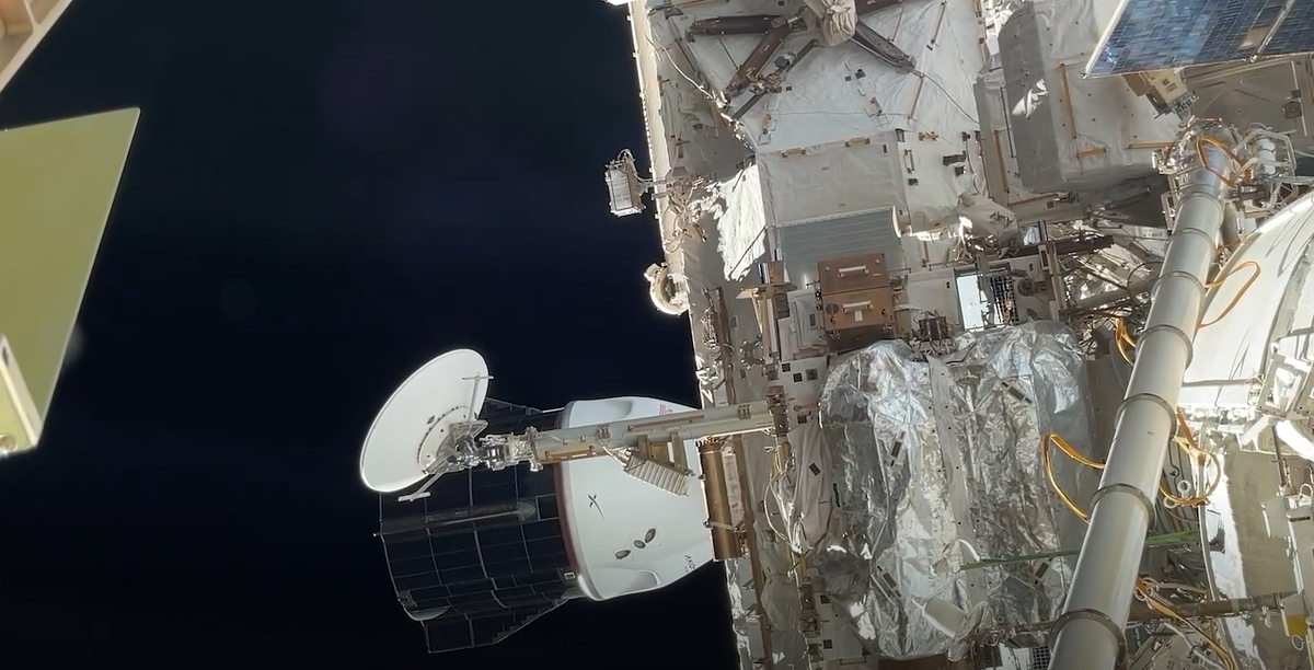 Кадр из видео Алексея Зубрицкого  📷
