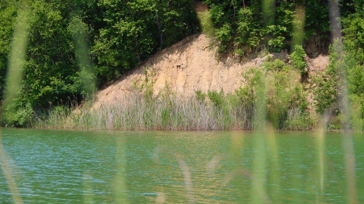     Источник: пресс-служба администрации Артема