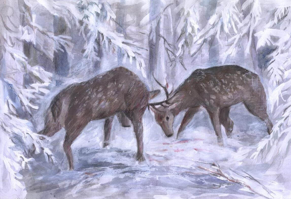 рисунок Шелеповой Евгении.