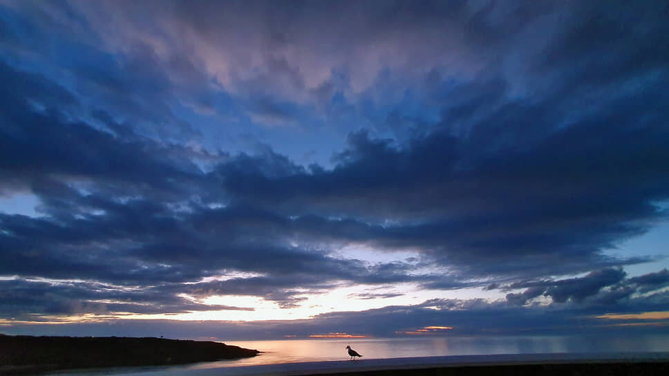 Фото: Максим Поляков / Коммерсантъ