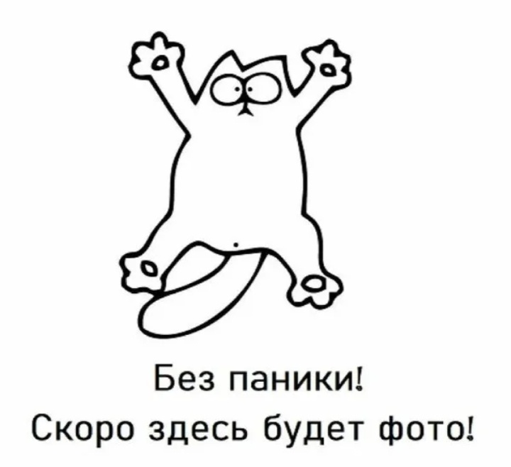 Тут должно быть фото кота.