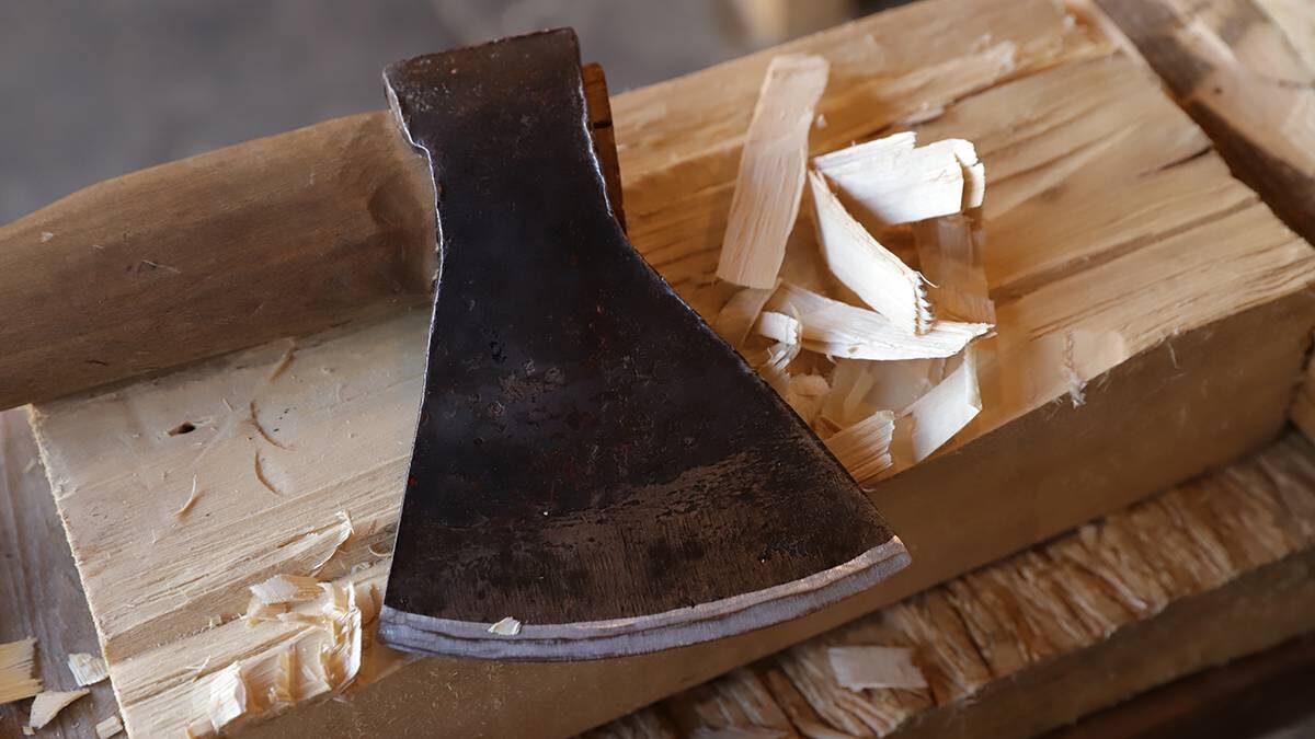    Фото: Анатолий Цымбалюк / Вечерняя Москва