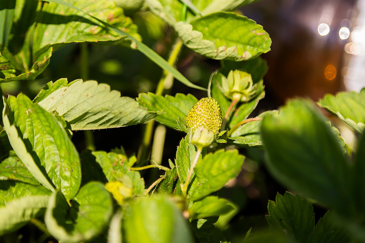    Фото Андрея Заржецкого