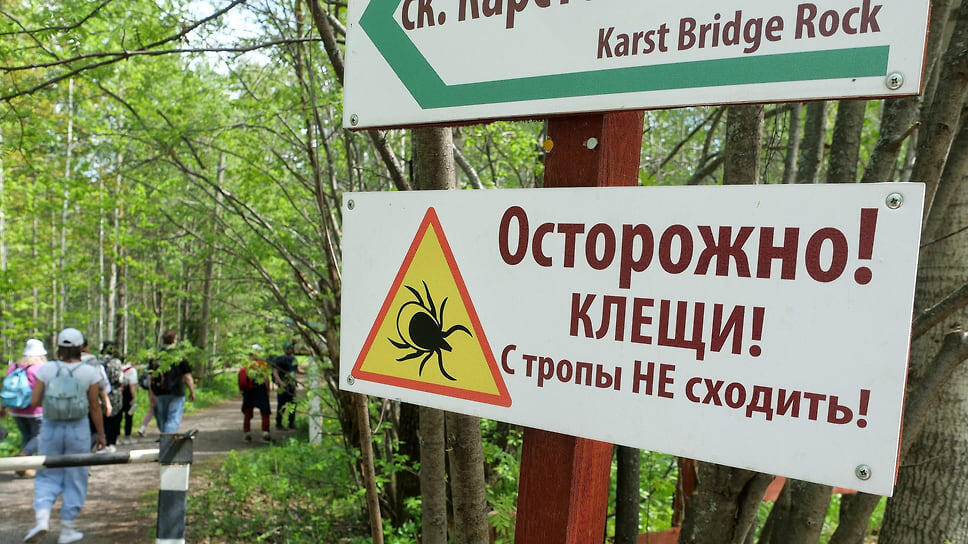 Фото: Евгения Яблонская / Коммерсантъ