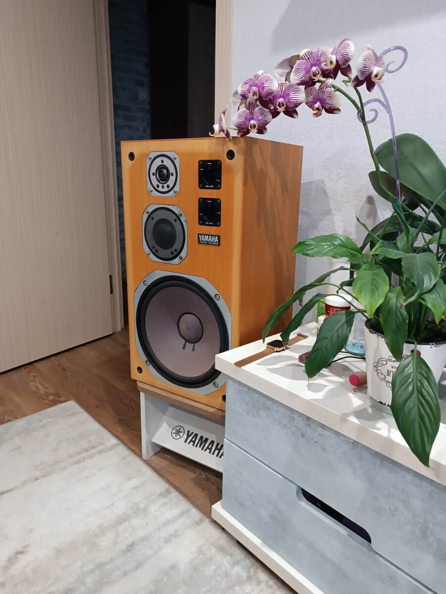 Акустика брата 