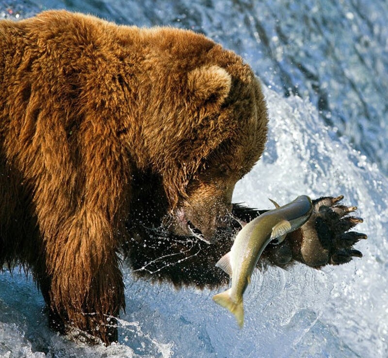 фото из открытых источников