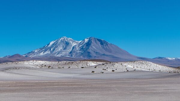   © Getty Images / VW Pics