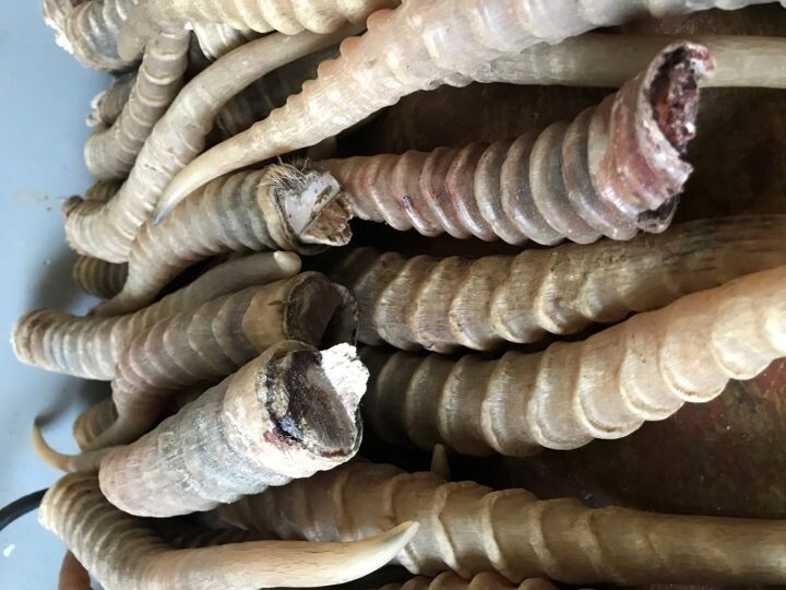    Фото:пресс-служба Дальневосточной транспортной прокуратуры