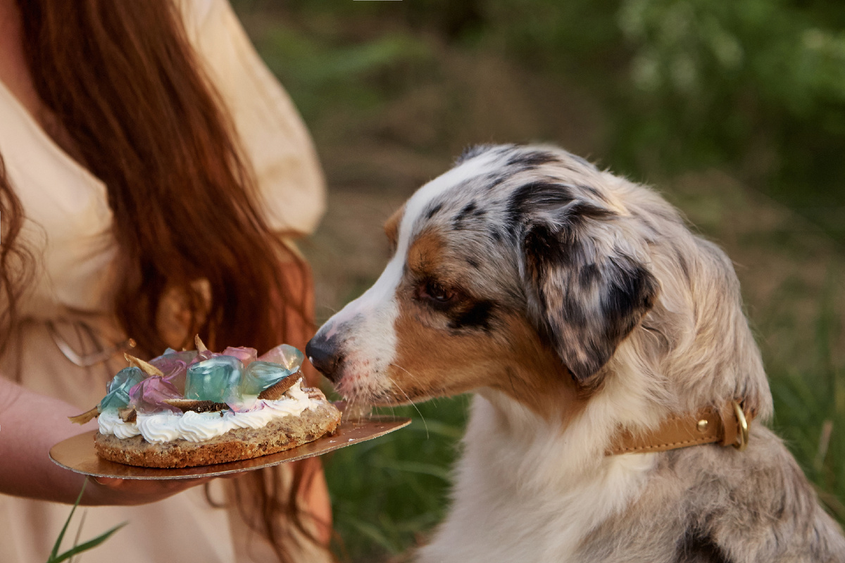 Особенно листики из рубца