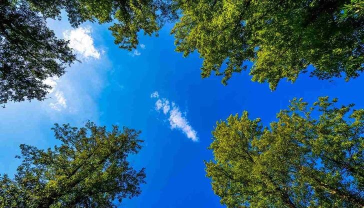    Фото: shedevrum.ai