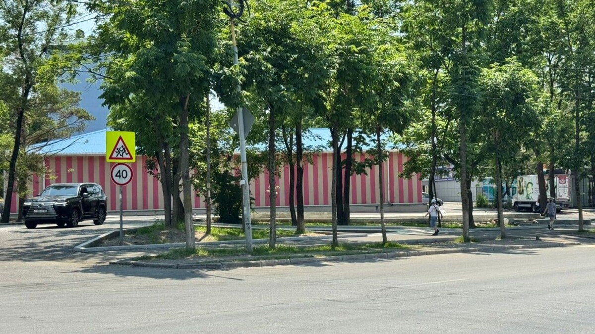     Источник: пресс-служба администрации Артема