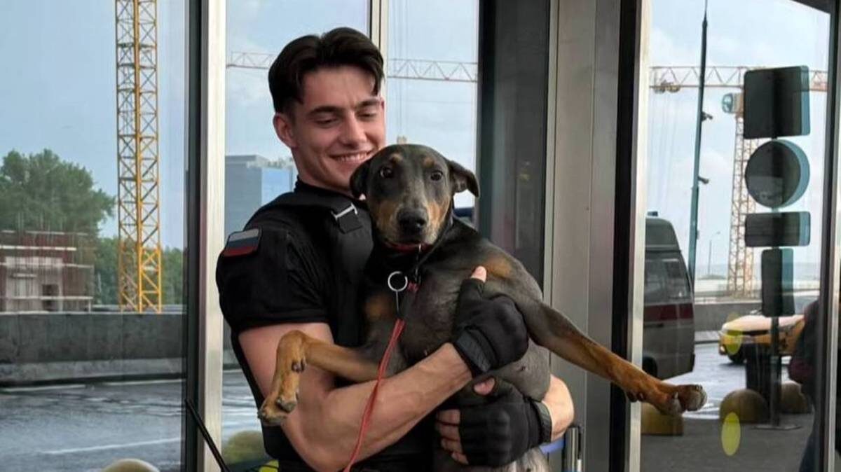    Фото: соцсети