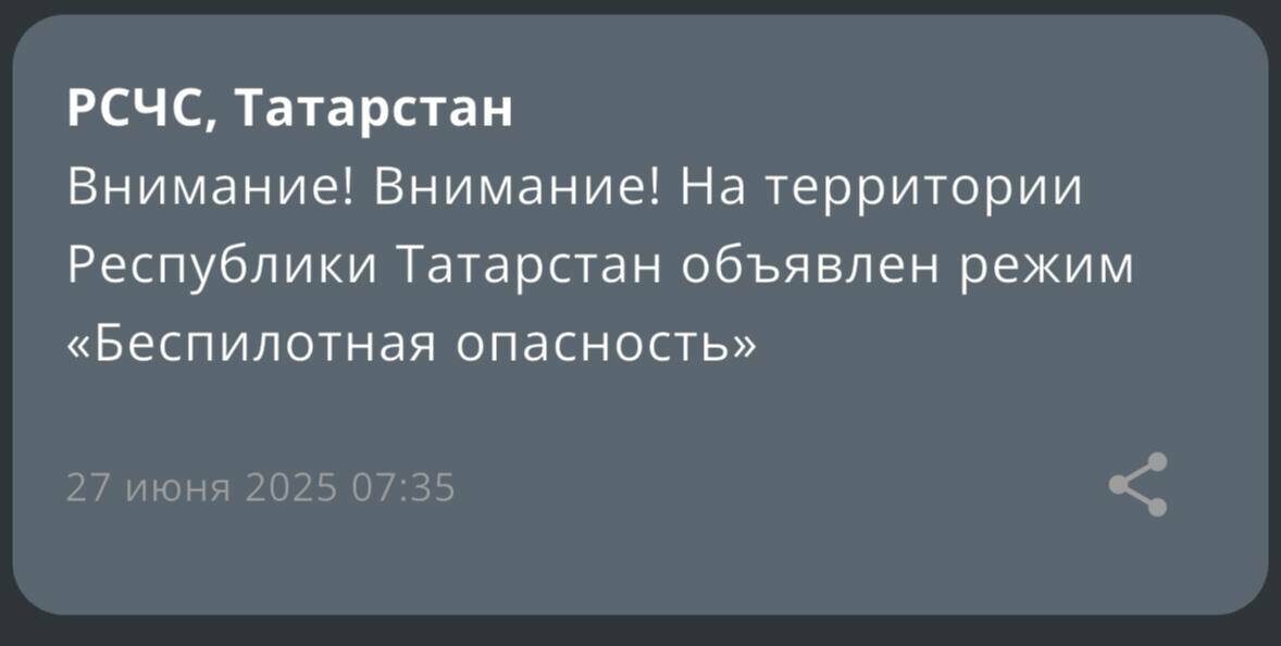 Фото: скриншот МЧС России