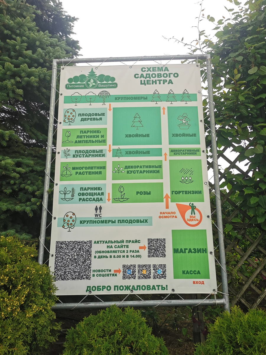 Вашутино 2025