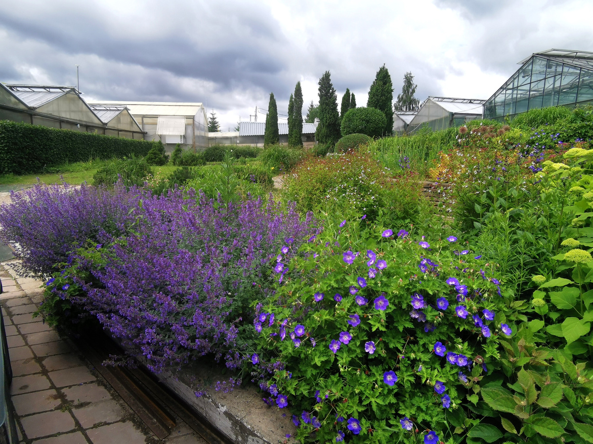 Вашутино 2025